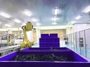 西山食品 國(guó)內(nèi)首個(gè)食用油塑包產(chǎn)品智慧工廠順利啟用